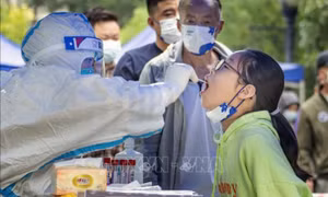 WHO cập nhật các mầm bệnh có nguy cơ bùng phát thành đại dịch