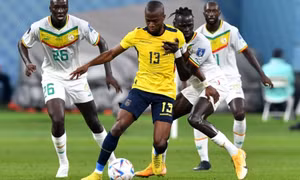 Senegal loại Ecuador khỏi World Cup