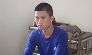 Đặt làm giả sổ đỏ, đăng ký xe ô tô rồi đem đi cầm cố