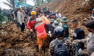 Động đất ở Indonesia: Số nạn nhân thiệt mạng tăng lên 310 người