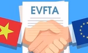 Doanh nghiệp Việt Nam tận dụng khá hiệu quả EVFTA