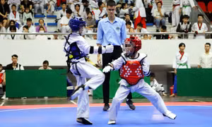 522 VĐV tranh tài tại Giải Pencak Silat - Taekwondo các nhóm tuổi tỉnh năm 2022
