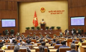 Thông qua Nghị quyết về thí điểm đấu giá biển số xe ôtô