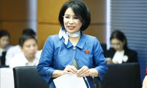 Sửa đổi Luật Giá phải lưu ý giá trần và giá sàn, tránh 'viên thuốc rẻ hơn viên gạch'