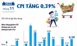 CPI tháng 11/2022 tăng 0,39% 