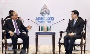 Chủ tịch nước tiếp quan chức Hong Kong và IMF bên lề APEC 2022