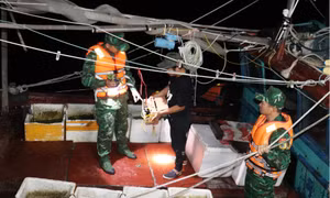 Quyết liệt ngăn chặn khai thác thủy sản tận diệt