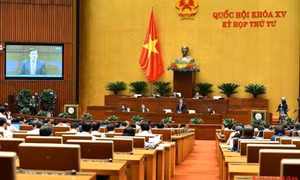 Cần quy định chặt chẽ bảo vệ thông tin người tiêu dùng