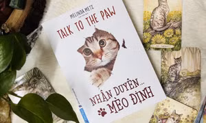 Phi vụ mai mối của chú mèo lông sọc