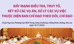 Đẩy mạnh điều tra, truy tố, xét xử các vụ án thuộc diện Ban Chỉ đạo theo dõi, chỉ đạo