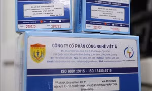 Khởi tố bị can Nguyễn Văn Trịnh, Trợ lý Phó Thủ tướng Chính phủ