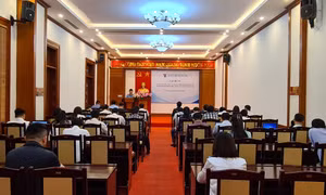Tập huấn kỹ năng tham gia và sử dụng hệ thống cơ sở dữ liệu tập trung hỗ trợ hoạt động XTTM