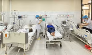 4 người bị ong đốt nguy kịch