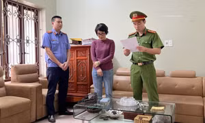 Chủ tịch thị trấn ở Bắc Giang và Giám đốc công ty bị bắt vì lập khống hồ sơ