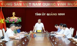 Họp Thường trực Ban Chỉ đạo phòng, chống tham nhũng, lãng phí, tiêu cực tỉnh