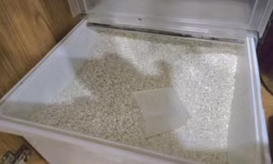 5 sai lầm cơ bản khi bảo quản gạo tại nhà