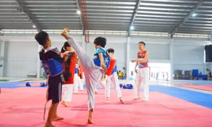 Ươm mầm, phát triển tài năng Taekwondo