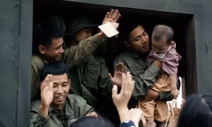 “Mưa đỏ” vượt mốc doanh thu 100 tỷ đồng