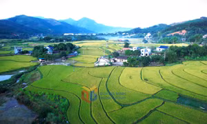 Xã Hoành Mô chuyển mình 