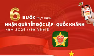 Hướng dẫn các bước nhận 100.000 đồng/người dịp Quốc khánh 2/9 trên VNeID