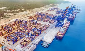 Thuế quan của Mỹ: Ấn Độ ứng phó với siêu thuế 50%