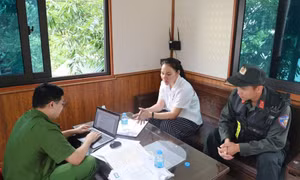 Khởi tố nữ Giám đốc tại Phú Thọ hô biến thịt đông lạnh thành đặc sản vùng cao