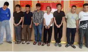 Công an Nghệ An triệt xóa ổ nhóm trộm chó có hung khí, tiêu thụ hơn 2 tấn chó