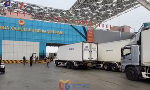 Bộ Tài chính trả lời kiến nghị về việc hưởng tỷ lệ nguồn thu từ thuế xuất nhập khẩu qua địa bàn