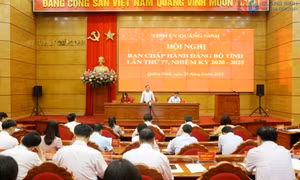 Ban Chấp hành Đảng bộ tỉnh cho ý kiến về công tác chuẩn bị Đại hội đại biểu Đảng bộ tỉnh lần thứ XVI