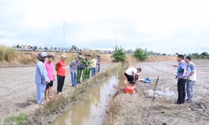 Tạm giữ hai người dùng điện bẫy chuột làm chết người