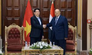 Chủ tịch nước Lương Cường hội kiến Chủ tịch Thượng viện Ai Cập Abdel-Wahab Abdel-Razeq