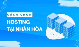 Các loại hosting phổ biến: Cách chọn hosting tại Nhân Hòa