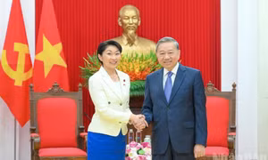 Nhật Bản mong muốn đồng hành với Việt Nam trong kỷ nguyên mới