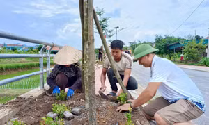 Nông dân Quảng Ninh thi đua chào mừng Đại hội Đảng bộ các cấp