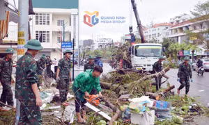 Ứng phó hiệu quả với thiên tai 