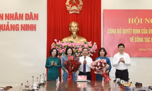 Công bố Quyết định của UBND tỉnh về công tác cán bộ