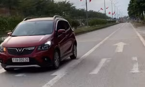 Tài xế điều khiển ôtô đi ngược chiều ở Cao Bằng rồi tự đến cơ quan Công an nộp phạt