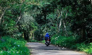 Hơn trăm người tìm kiếm du khách bị mất liên lạc hơn 2 ngày ở Vườn quốc gia Cúc Phương