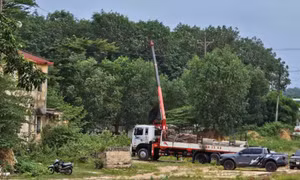 Xe tải cẩu đụng dây điện cao thế, phụ xe bị điện giật tử vong, tài xế ngất xỉu
