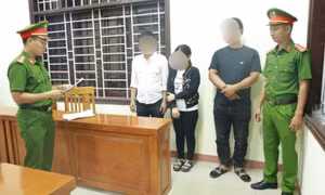 Giết mổ heo bị dịch tả châu Phi đưa ra chợ bán, 3 người bị khởi tố