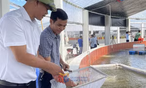 Chuyển đổi số trong công tác khuyến nông