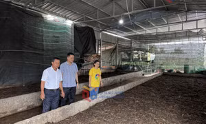 Lan tỏa tinh thần đoàn kết cộng đồng
