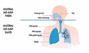 Phòng bệnh đường hô hấp mùa mưa