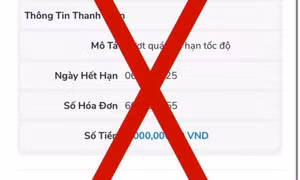 CSGT không thông báo vi phạm trật tự ATGT qua điện thoại, công bố thêm đường dây nóng