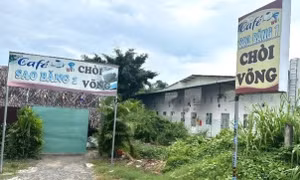 Bắt giữ chủ quán cà phê ở Đồng Nai cho 4 nữ tiếp viên bán dâm trong các chòi
