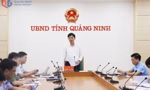 UBND tỉnh: Nghe báo cáo về công tác quản lý nhà nước về tài nguyên, khoáng sản