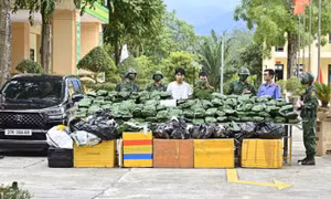Bắt 1 đối tượng, thu giữ 240kg cần sa khô