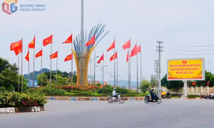 Vùng mỏ những ngày tháng 8