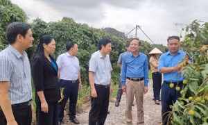 Nông dân thi đua sản xuất, kinh doanh giỏi