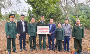Hội Nạn nhân chất độc da cam/dioxin tỉnh: Điểm tựa đồng hành